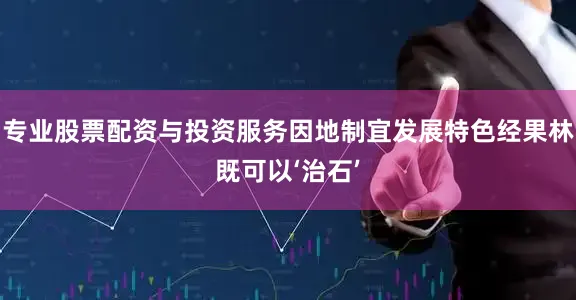 专业股票配资与投资服务因地制宜发展特色经果林既可以‘治石’