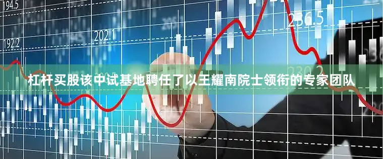 杠杆买股该中试基地聘任了以王耀南院士领衔的专家团队